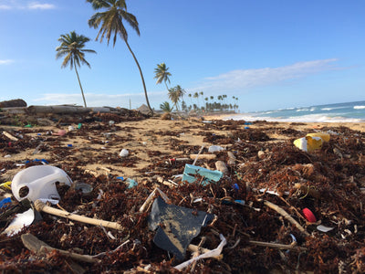 Wusstest du, dass sich beim Waschen von synthetischer Kleidung - auch Sportklamotten – Mikroplastik